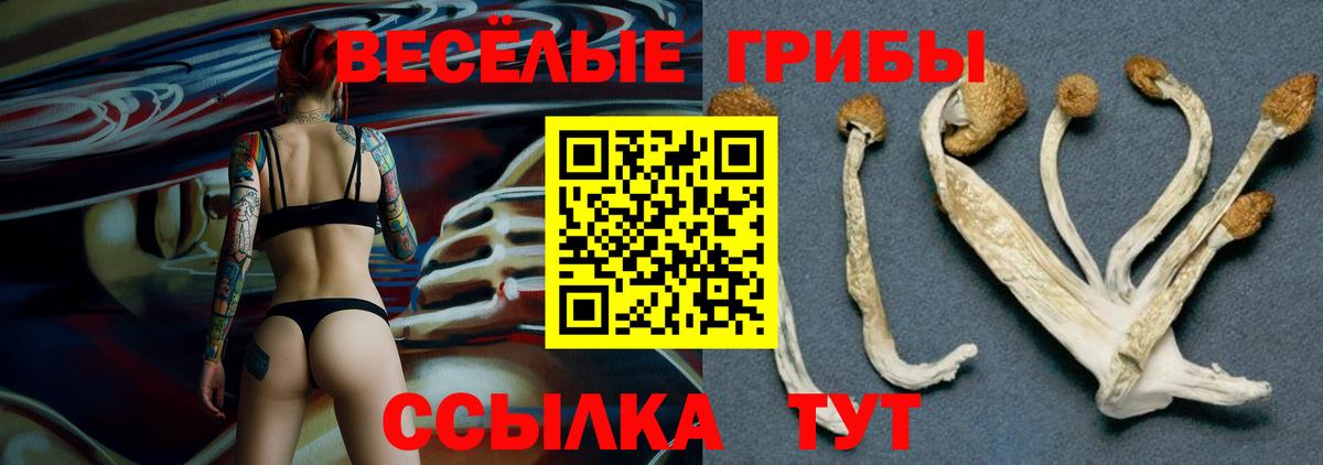Галлюциногенные грибы MAGIC MUSHROOMS  Вход с VPN  Псилоцибиновые грибы Psilocybine cubensis  Люберцы 