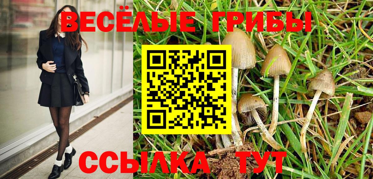 Псилоцибиновые грибы Cubensis Люберцы